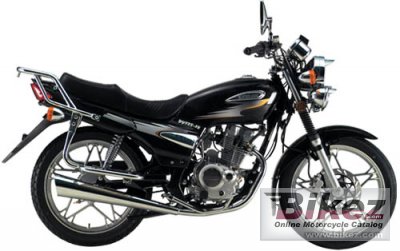 2008 Dayang DY125-13.34.1 photo